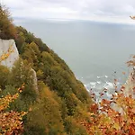 Seepferdchen *