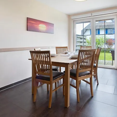 Seepferdchen Dranske